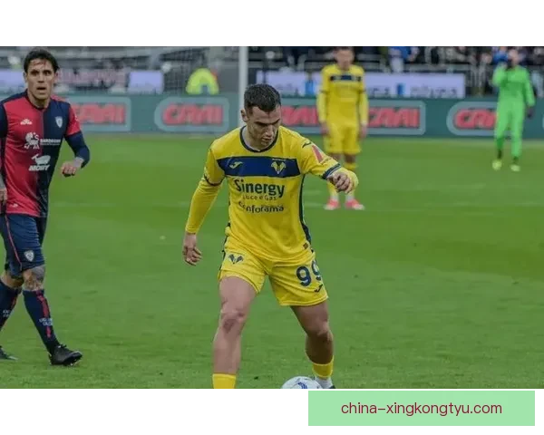 维罗纳伤情谁复出战卡利亚里