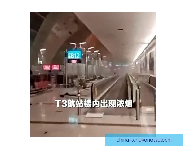 周意迪拜滞留发文:打球成战地记者 周意迪拜滞留发文:打球成战地记者